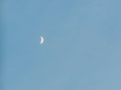 ��������Ə�����ȎO�����i����U.�S�j��