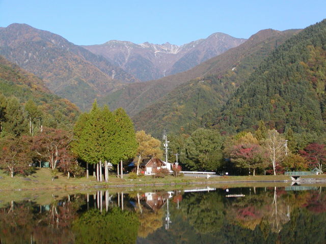 �����������