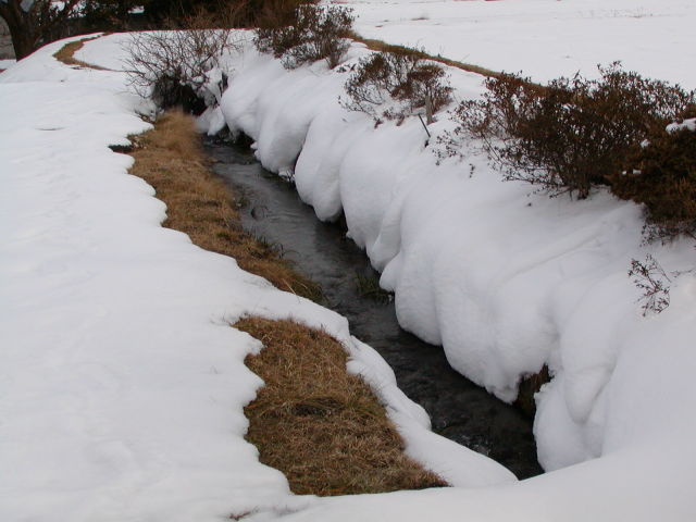 ◆冬の小川◆