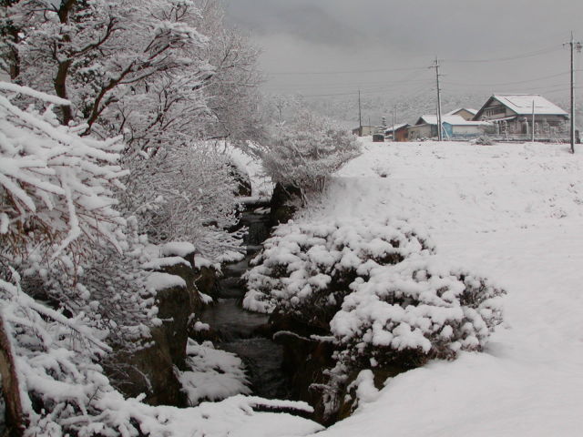 ◆雪景色◆