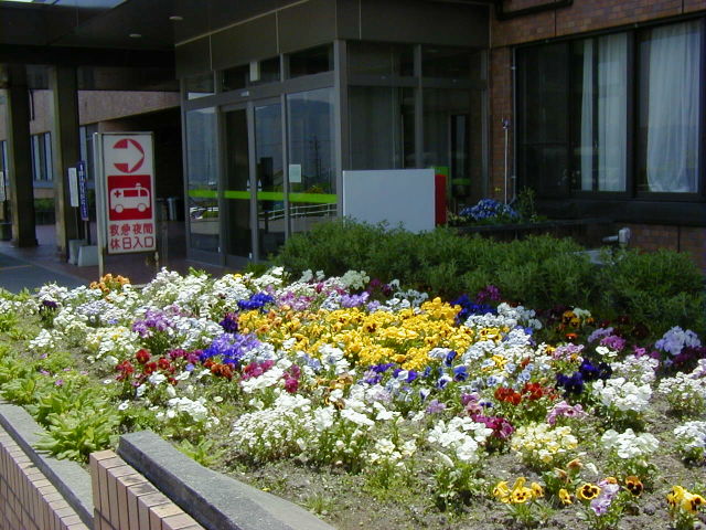 ◆昭和伊南総合病院の花壇◆