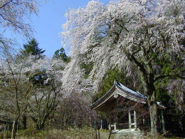 �����O�Ǝ}������