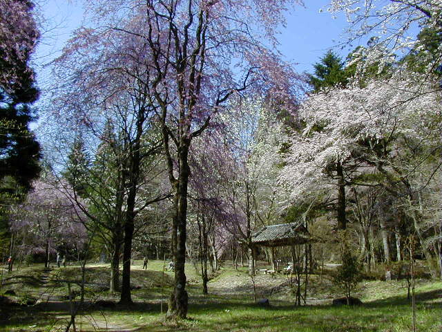 �������ƍ���