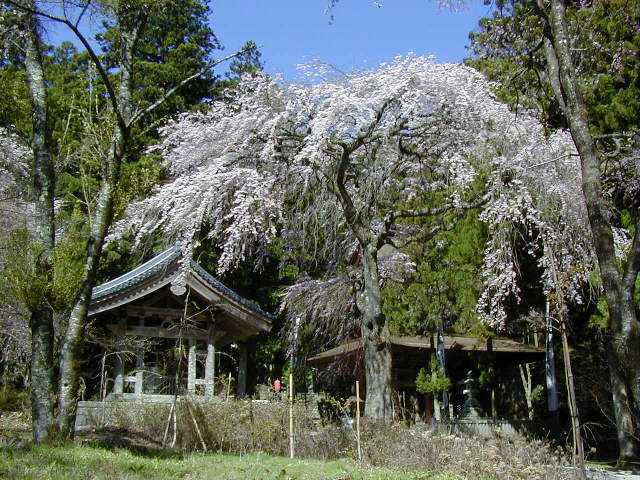 �����O�Ǝ}������