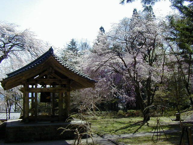 �����O�Ǝ}������