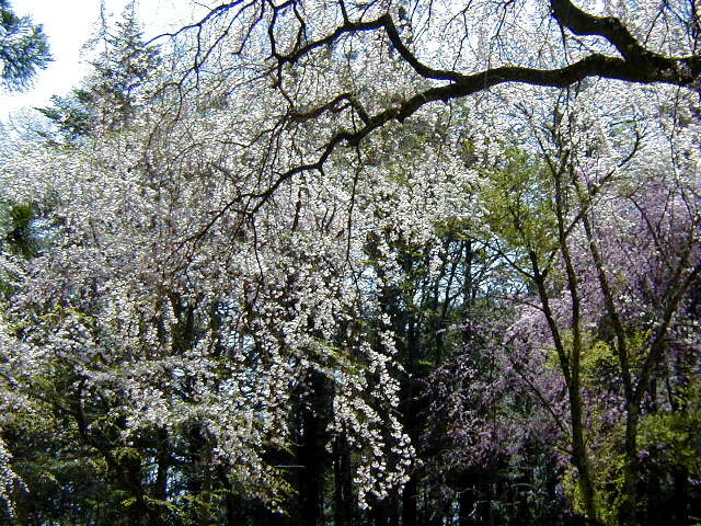 ���}������