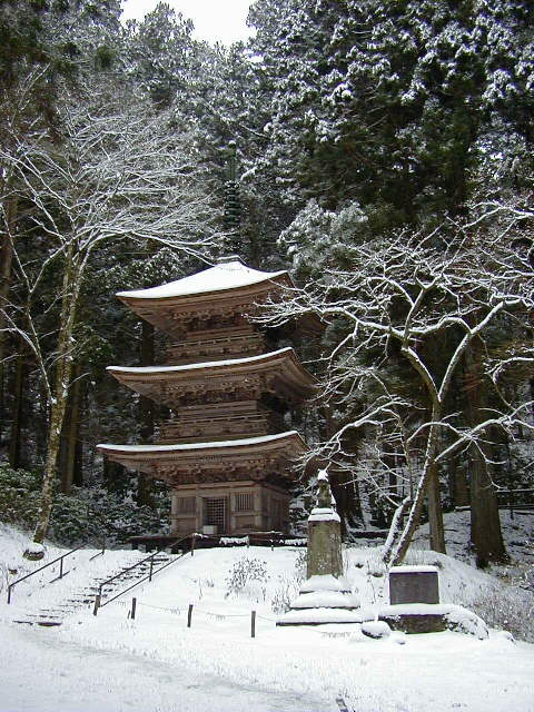 �����O���O�d�̓���