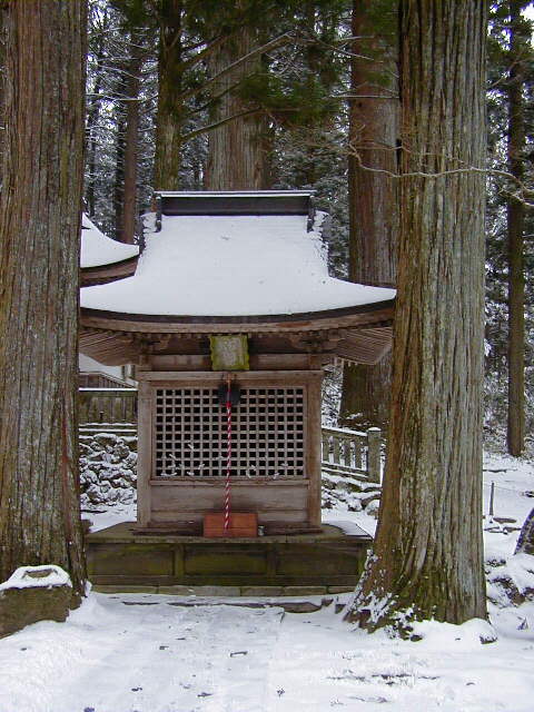 �����O���ٓV����