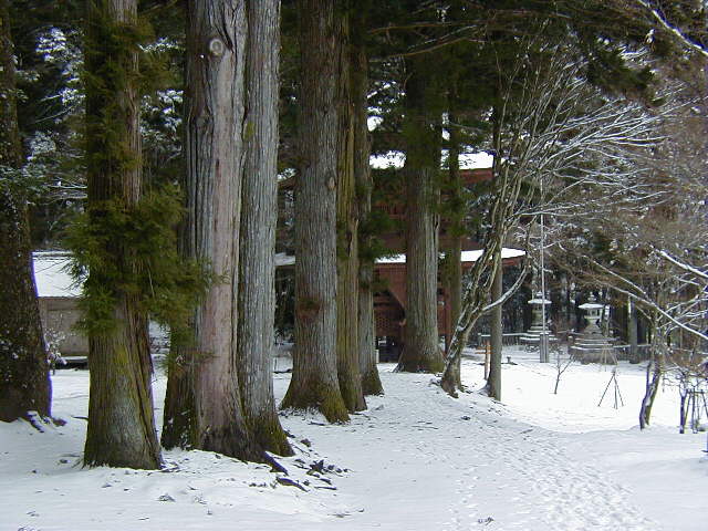 �����O�����ؗ���