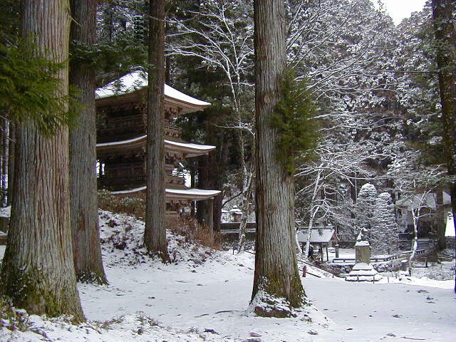 �����O���O�d�̓��Ƒ����Y�̑���