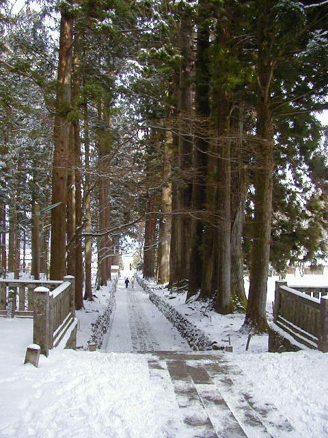 �����O���Q����